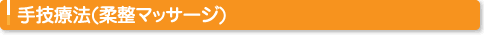 手技療法(柔整マッサージ)