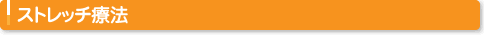 ストレッチ療法